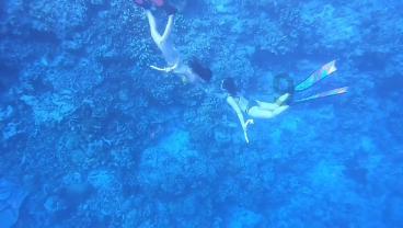 会馆浜新村与中华恐龙园有多远距离